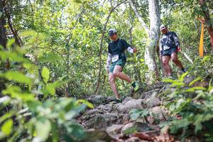 BIB: 
                            <button type="button" onclick="openModal(27703166)" class="btn btn-primary btn-sm float-right btn-popup" data-toggle="modal" data-target=".modal-high-quality">
                        <i class="fas fa-shopping-cart"></i> Add to Cart
                    </button>
                                            <button type="button" onclick="isThisMe(27703166, true)" class="btn btn-success btn-sm float-right btn-popup btn-isme hidden" data-toggle="tooltip" data-placement="bottom" title="นี่คือรูปของคุณใช่ไหม คลิกที่นี่เพื่อเอาเข้าอัลบั้ม">
                        <i class="fas fa-plus"></i> Add to album
                    </button>
                    <button type="button" onclick="isThisMe(27703166, false)" class="btn btn-warning btn-sm float-right btn-popup btn-isnotme hidden">
                        <i class="fas fa-ban"></i> Remove from album
                    </button>